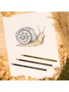 STAEDTLER Színes ceruza készlet, hatszögletű, STAEDTLER "Noris Colour 185", 24 különböző szín