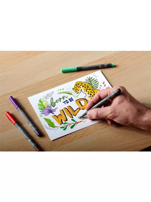 STAEDTLER Filctoll, 1 mm, kúpos, 2 db, STAEDTLER® "Pigment pen 376", intenzív fekete