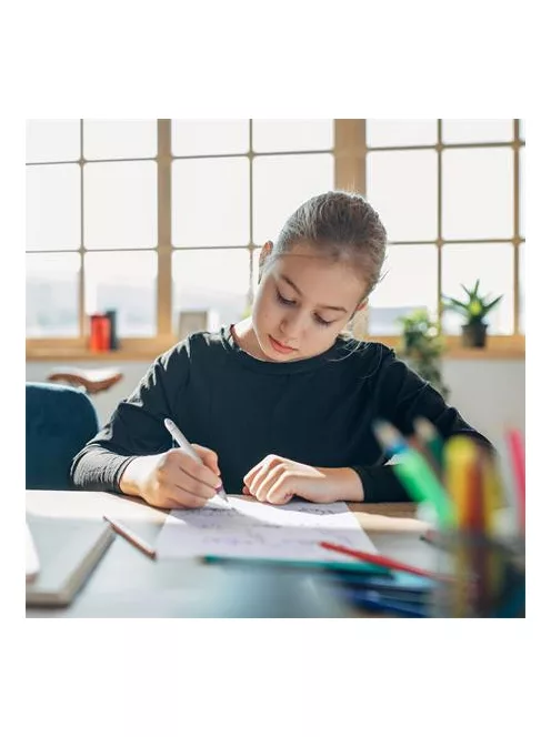 SCHNEIDER Rollertoll, patronos, M-es, SCHNEIDER "Base Ball", szürke-rózsaszín