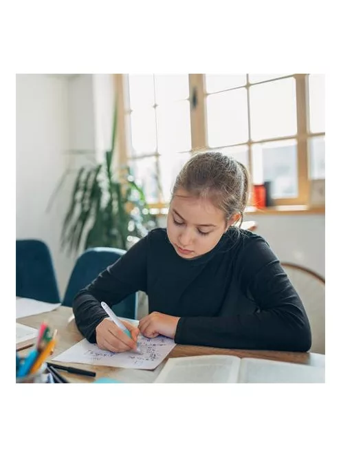 SCHNEIDER Rollertoll, patronos, M-es, SCHNEIDER "Base Ball", szürke-türkiz