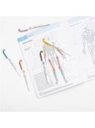 ZEBRA Szövegkiemelő, 1,0/3,5 mm, kétvégű, ZEBRA "Mildliner Warm", füstkék