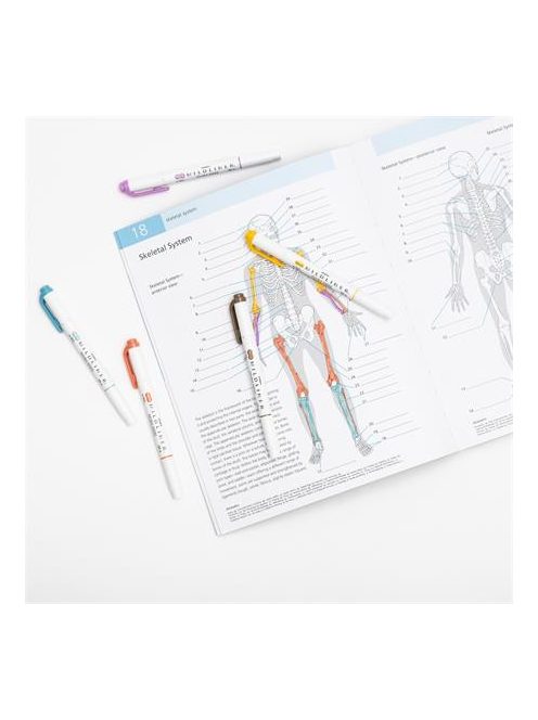 ZEBRA Szövegkiemelő, 1,0/3,5 mm, kétvégű, ZEBRA "Mildliner Warm", füstkék