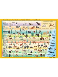   STIEFEL Könyökalátét, kétoldalas, STIEFEL "Világ állatai"