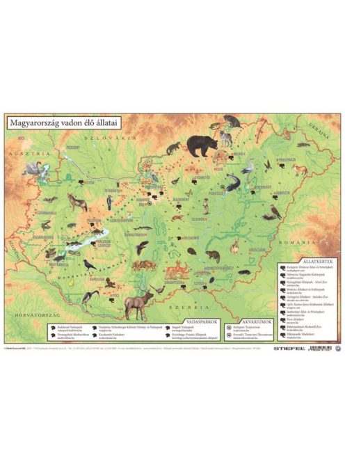 STIEFEL Könyökalátét, kétoldalas, A3, STIEFEL "Magyarország vadon élő állatai / Magyarország állatvilága"