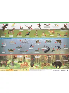   STIEFEL Könyökalátét, kétoldalas, A3, STIEFEL "Magyarország vadon élő állatai / Magyarország állatvilága"