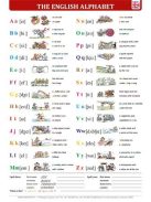 STIEFEL Könyökalátét, kétoldalas, A3, STIEFEL "The English Alphabet/Great-Britain"