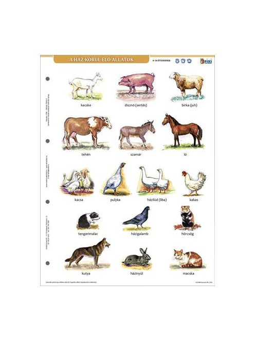 STIEFEL Tanulói munkalap, A4, STIEFEL" A ház körül élő állatok"