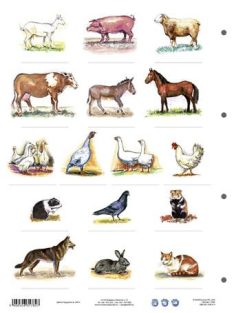   STIEFEL Tanulói munkalap, A4, STIEFEL" A ház körül élő állatok"