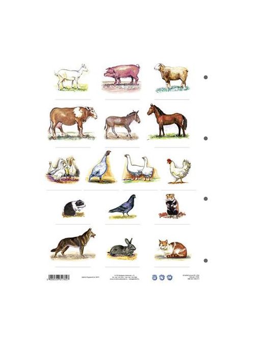 STIEFEL Tanulói munkalap, A4, STIEFEL" A ház körül élő állatok"