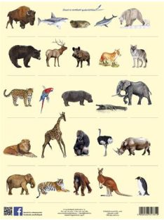   STIEFEL Tanulói munkalap, A4, STIEFEL" Vadon élő állatok"