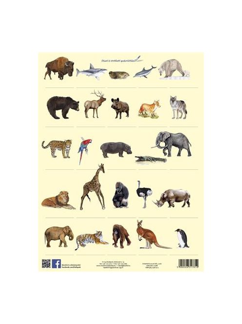 STIEFEL Tanulói munkalap, A4, STIEFEL" Vadon élő állatok"