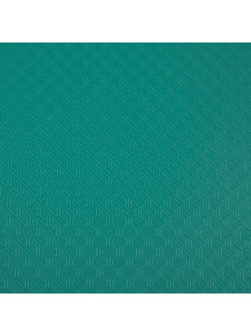 Gyűrűskönyv, A4, 4 gyűrűs, PP, cimkével, A4-s maxi, 20 mm-s gerinc, PP, zöld